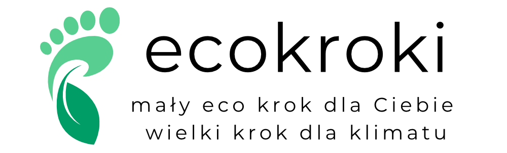 ecokroki ecokroki