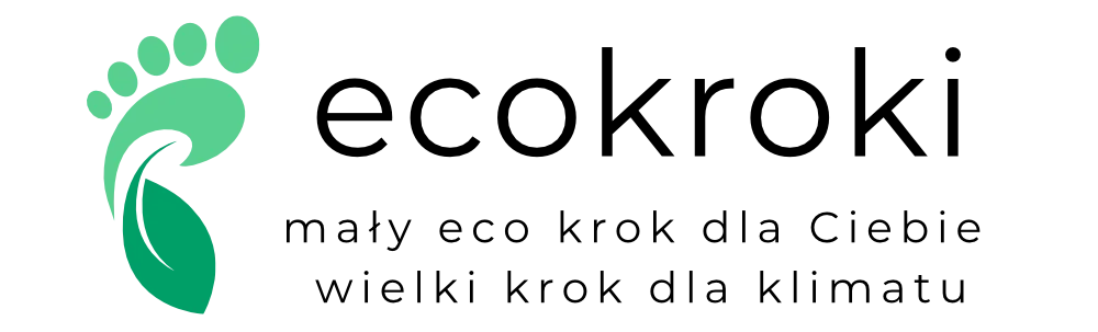 ecokroki