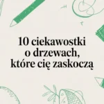 10 ciekawostek o drzewach, które Cię zaskoczą
