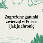 Zagrożone gatunki zwierząt w Polsce i jak je chronić