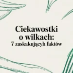 Ciekawostki o wilkach - 7 zaskakujących faktów