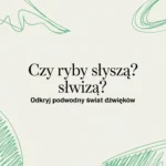 Czy ryby słyszą? Odkryj podwodny świat dźwięków