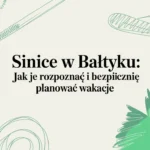 Sinice w Bałtyku - jak je rozpoznać i bezpiecznie planować wakacje