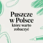 Puszcze w Polsce które warto zobaczyć