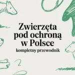 Zwierzęta pod ochroną w Polsce kompletny przewodnik