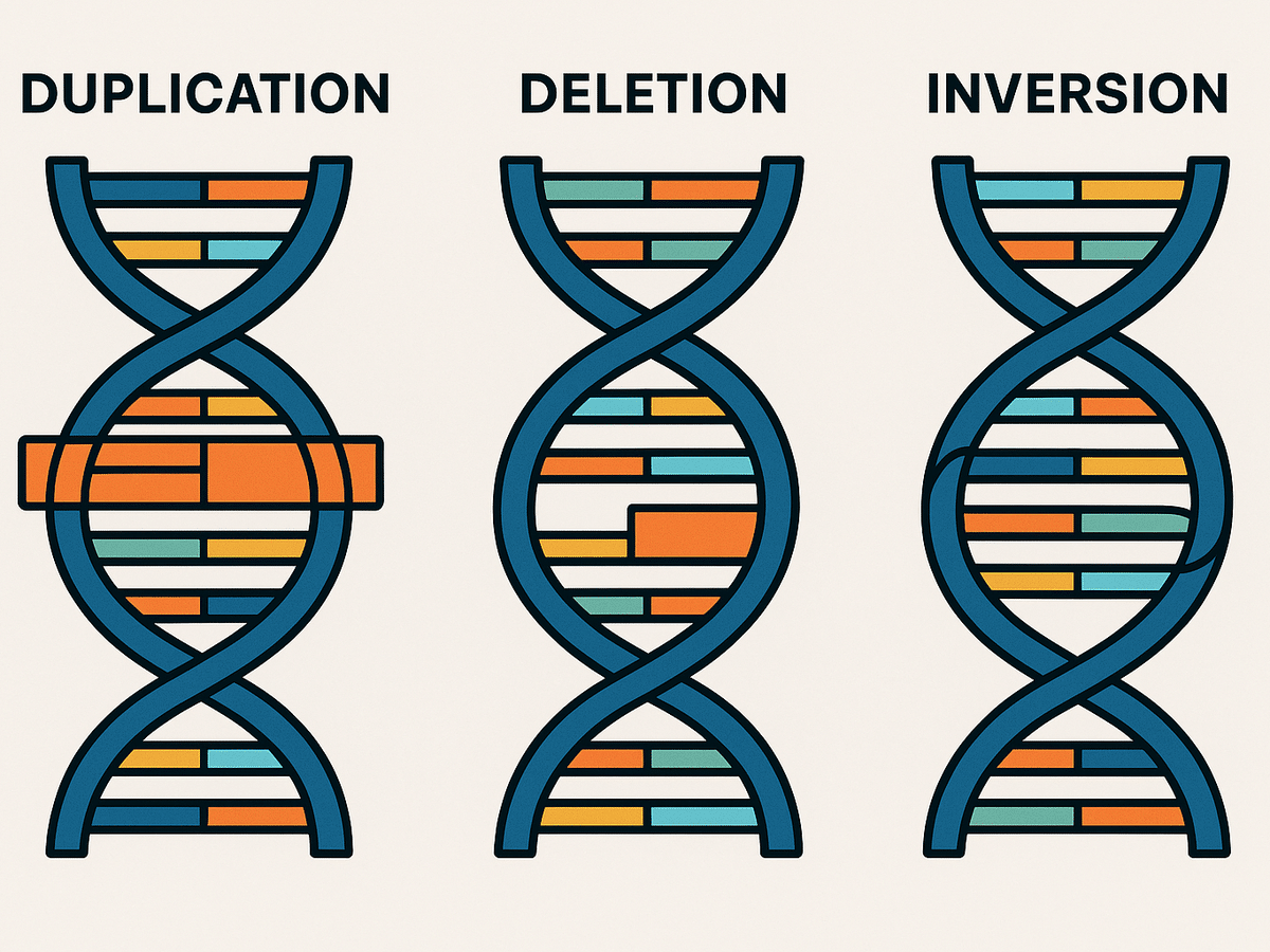 Ilustracja sekcji 1 pokazuje Close-up of DNA strands with i najwazniejsze zaleznosci tematu.