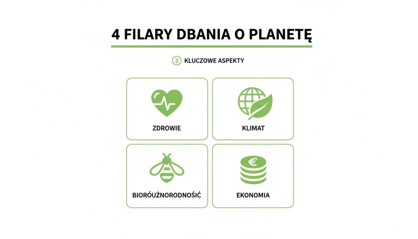 Infografika prezentująca cztery kluczowe filary dbania o planetę: zdrowie, klimat, bioróżnorodność i ekonomię.