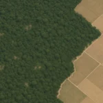 Ilustracja hero przedstawia Aerial satellite-style image of intact w minimalistycznej, klarownej formie redakcyjnej.