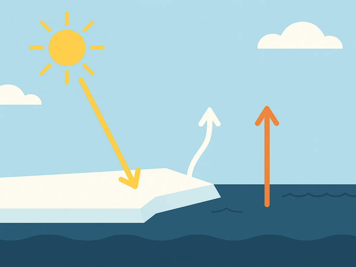 Ilustracja sekcji 2 pokazuje Diagram-style illustration of Arctic energy i najwazniejsze zaleznosci tematu.