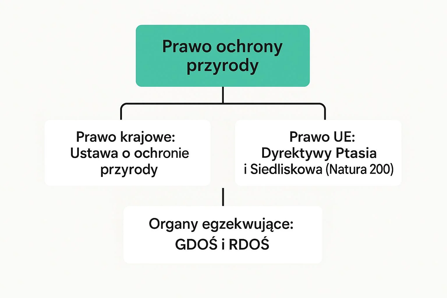 Infografika przedstawiająca hierarchię prawa ochrony przyrody w Polsce, od prawa krajowego i unijnego po organy egzekwujące.