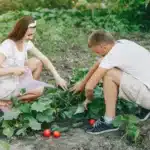 Para pracuje przy grządkach w przydomowym ogródku warzywnym