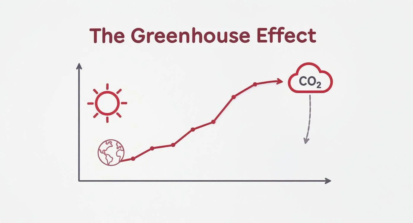 Infographic about zmiany klimatyczne w polsce